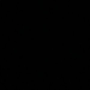 Meet your Posher, Shealbie